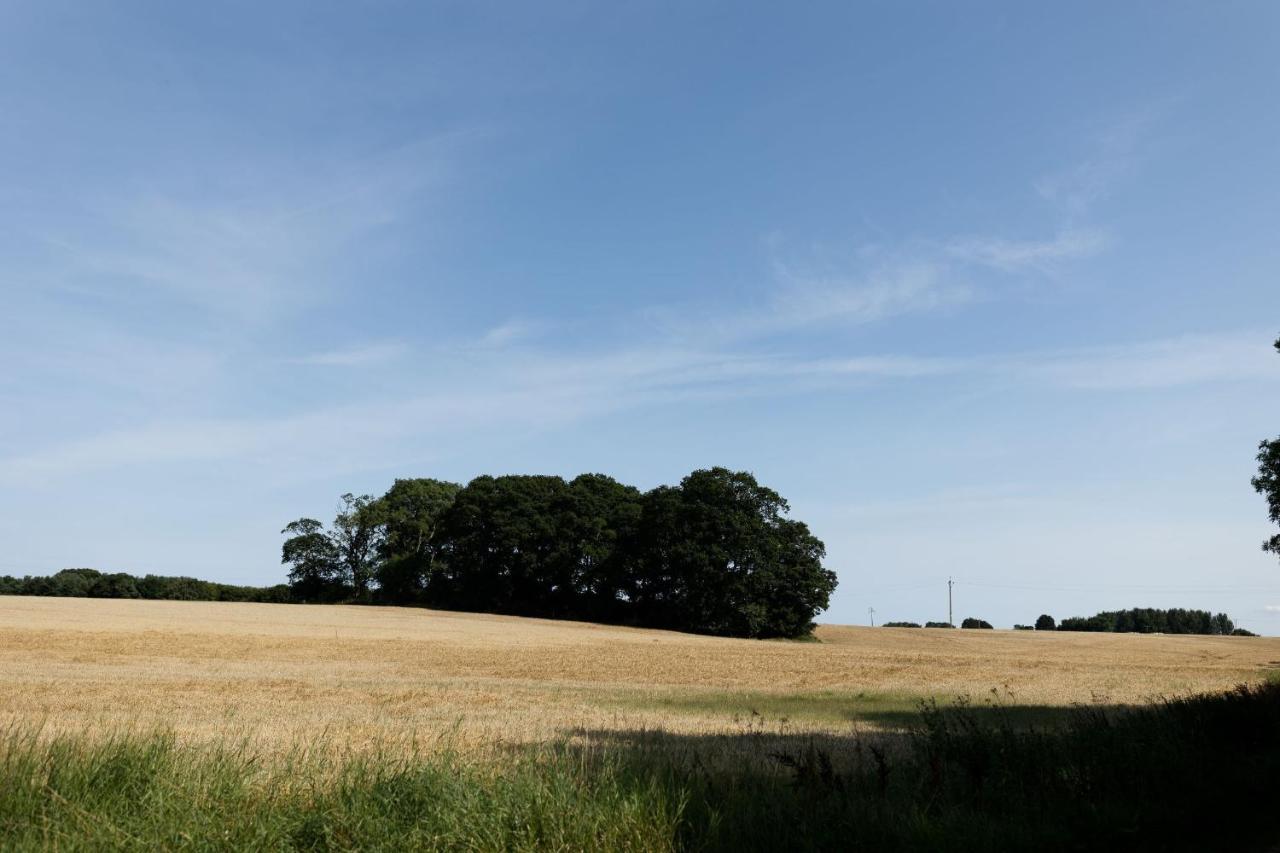 הוילה פורס Abbotshill, Dalvey Estate מראה חיצוני תמונה